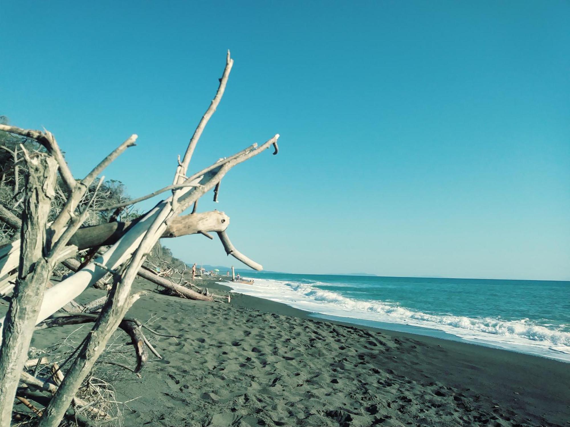 Zi Maria Hotel Marina di Cecina Bagian luar foto